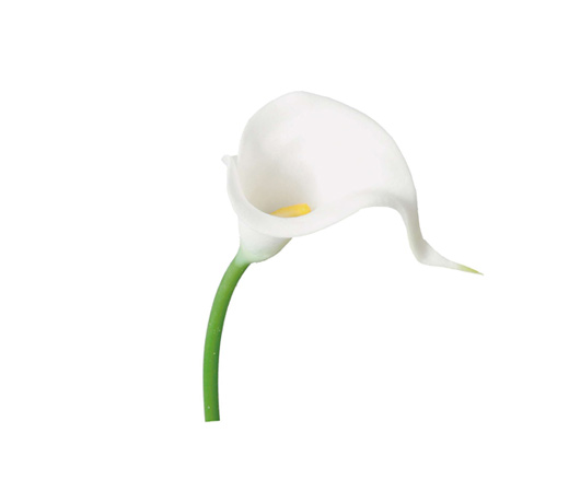 プリザーブドフラワー花材：ＤＭカラーリリーＳ・ホワイト(FA-6746-W)ＯＴ