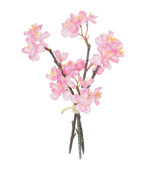 �ԍ� �c�l���ԁE�T�N���o���`�E�s���N(FS-7037-P)�E�A�E�g���b�g