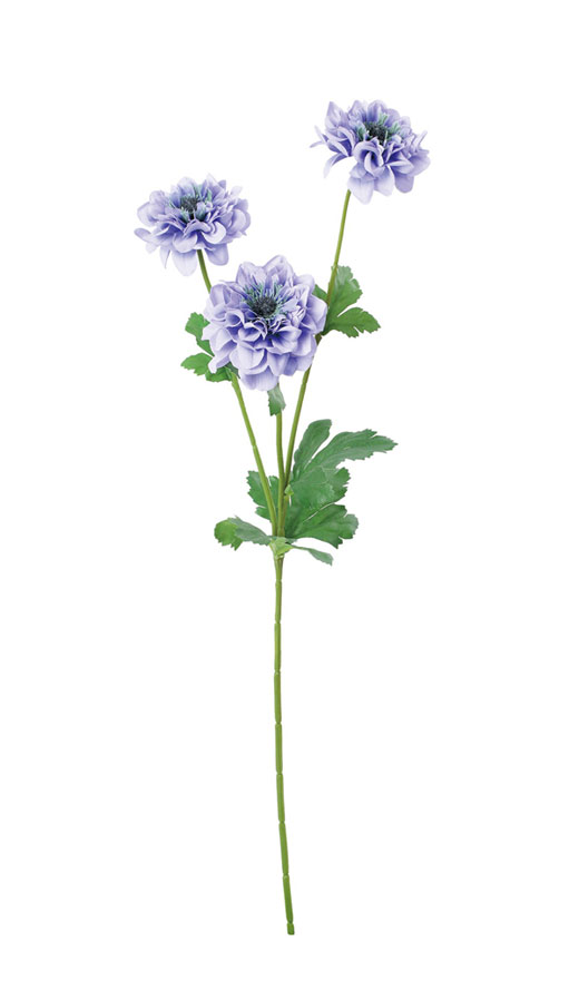 �ԍ� �c�l���ԁE�A�l���l�R���i���A�E���x���_�[(FA-7509-LAV)�E�A�E�g���b�g