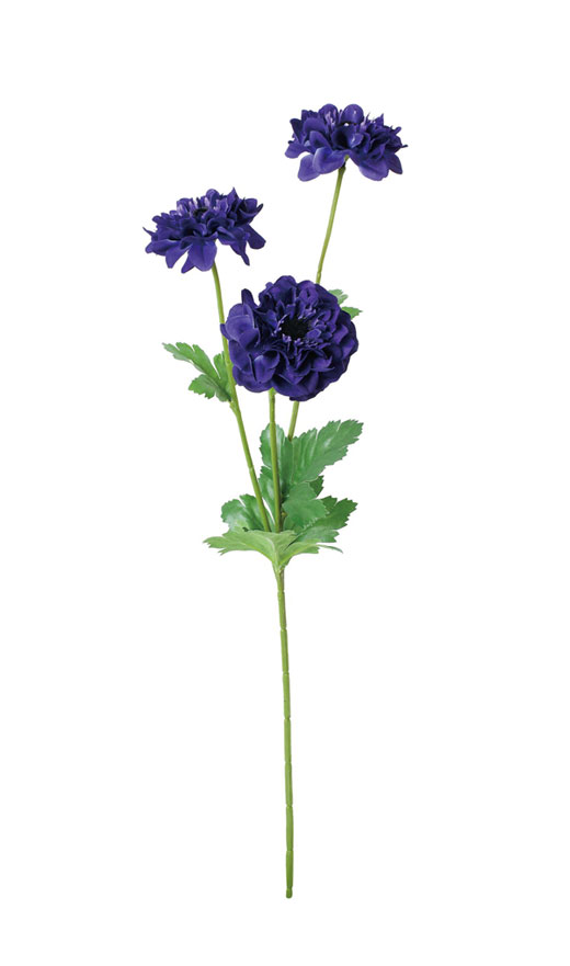 �ԍ� �c�l���ԁE�A�l���l�R���i���A�E�u���[(FA-7509-BLU)�E�A�E�g���b�g