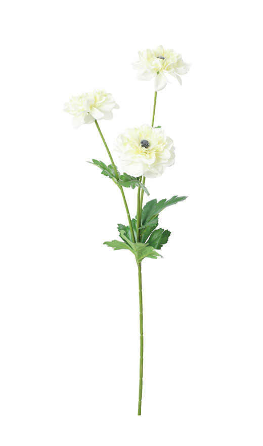 �ԍ� �c�l���ԁE�A�l���l�R���i���A�E�N���[��(FA-7509-CR)�E�A�E�g���b�g